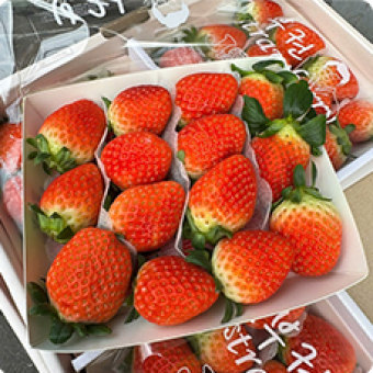 Trái cây nhập | Khay gỗ vuông nắp mica trái cây 1