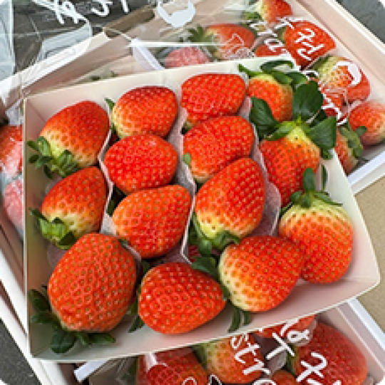 Trái cây nhập | Khay gỗ vuông nắp mica trái cây 1