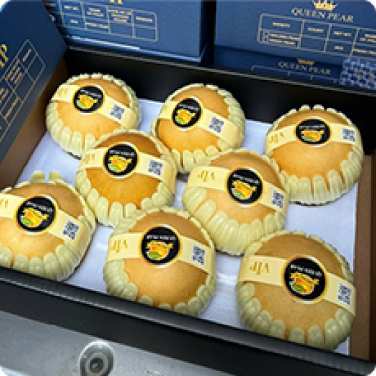 Trái cây nhập | Khay gỗ vuông nắp mica trái cây 5