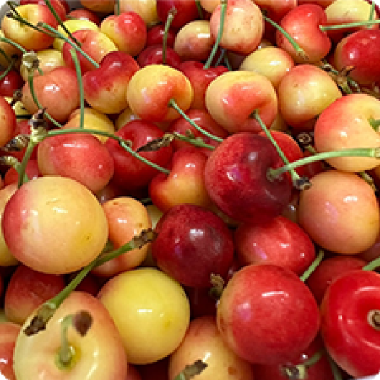 Trái cây nhập | Khay gỗ vuông nắp mica trái cây 8