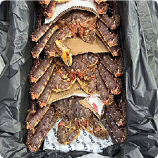 Hải sản tươi sống | Mực, cua, cá, ghẹ tươi sống 6