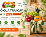 Giỏ Quà Trái Cây Chỉ Từ 299K Tại TP.HCM