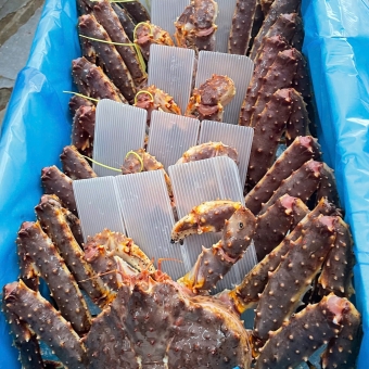 Cua Hoàng Đế, King Crab ( Bao Sống )