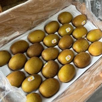 Kiwi Vàng ( Pháp, Newzeland )