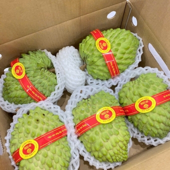 Na Sâu Riêng Hữu Cơ ( Chuẩn Vietgap )