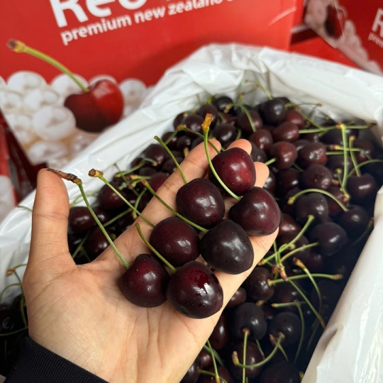 Cherry Red Pear Kodia Newzealand