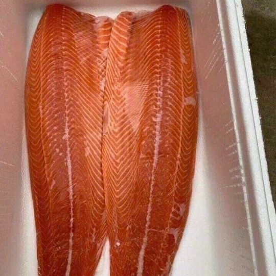 Cá Hồi Na Uy