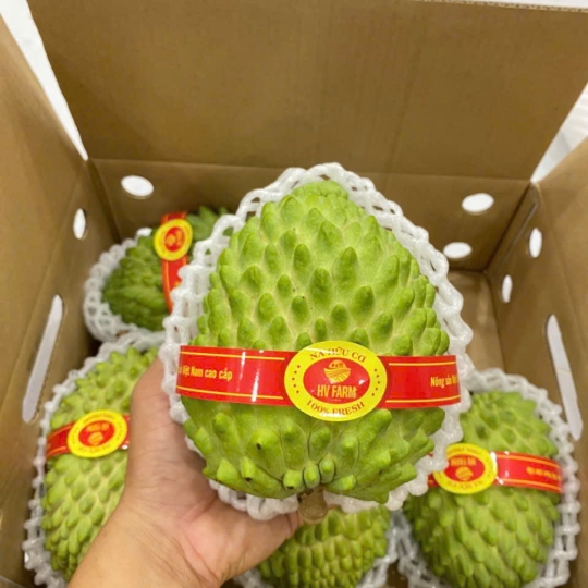 Na Sâu Riêng Hữu Cơ ( Chuẩn Vietgap )